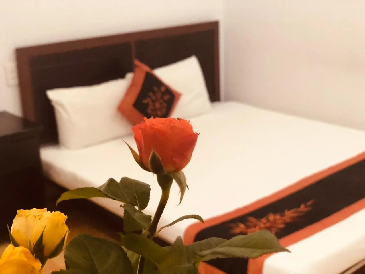 Sea Sun Homestay Хойан
